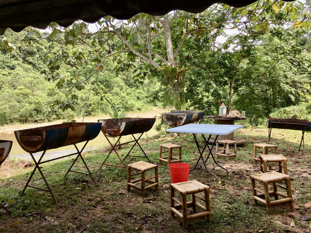 A misty silence: retreating into the woods of Sungai Lembing