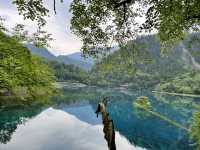  🌈 Jiuzhaigou Must-Visit Tips – Nature, Waterfalls & What to Skip