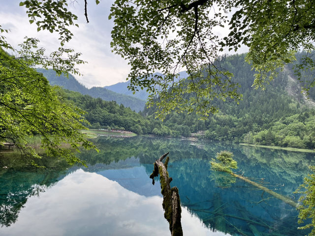  🌈 Jiuzhaigou Must-Visit Tips – Nature, Waterfalls & What to Skip