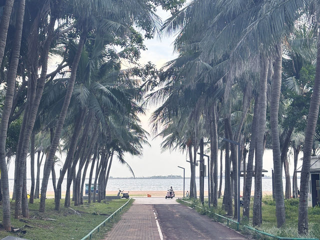 海島就是要住海邊