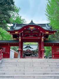 雲海と神秘に包まれる「三峯神社」で、心を整える山旅