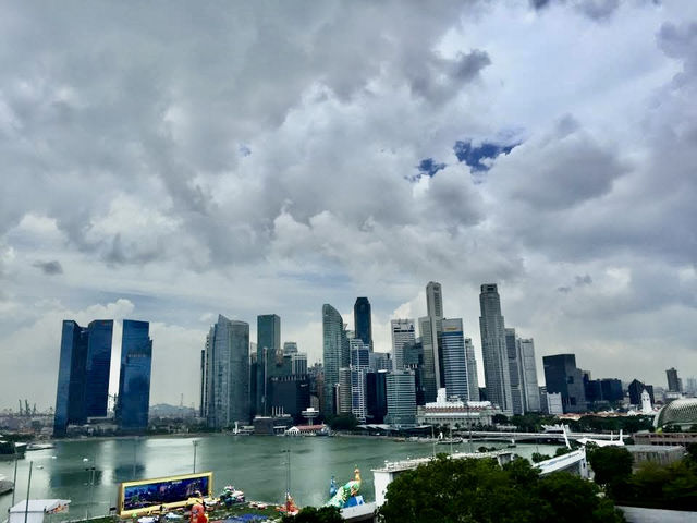 新加坡靚景首選酒店Ritzcalton ⭐️⭐️⭐️⭐️⭐️