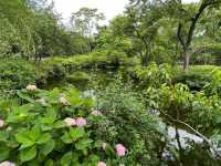🌿 Humble Administrator’s Garden 拙政园 — A Classical Suzhou Gem