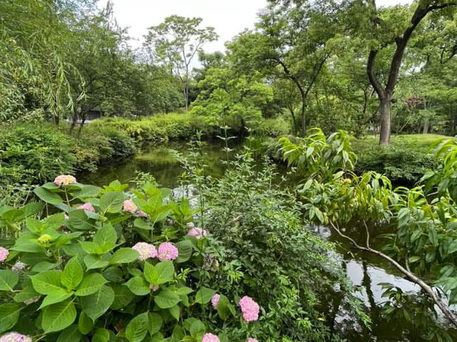 🌿 Humble Administrator’s Garden 拙政园 — A Classical Suzhou Gem