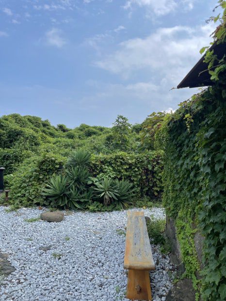 🌲 제주 숲 카페 후기 ☕