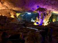 🚢 1-Night Ha Long Bay Cruise: A Journey Through Vietnam’s Dreamscape 🌅🇻🇳
