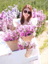 ชวนเที่ยวสวรดอกไม้ เชียงใหม่