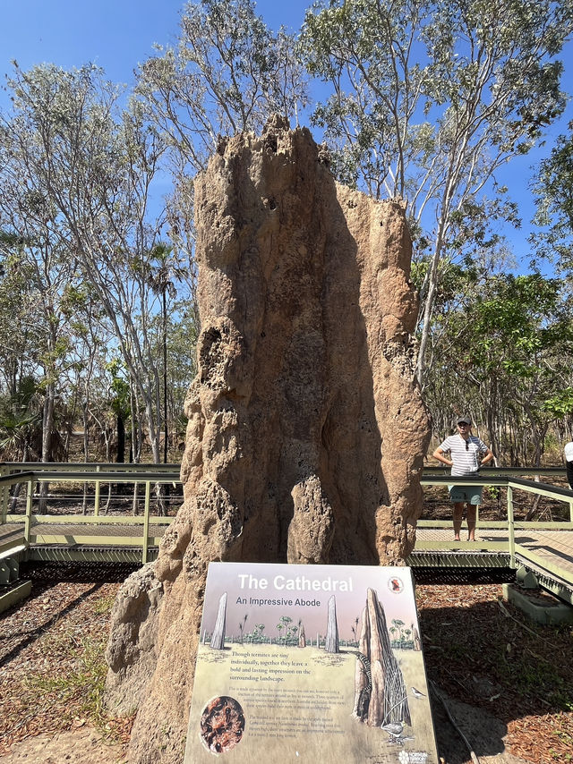 🌿達爾文一日遊｜Litchfield 國家公園爆改大自然濾鏡！瀑布戲水＋巨型白蟻巢穴超震撼🌊🪲