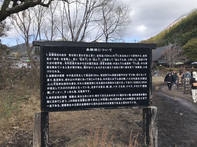 由布院-金鱗湖（由布院建議停留3小時）