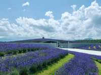 Buddha Hill in Hokkaido