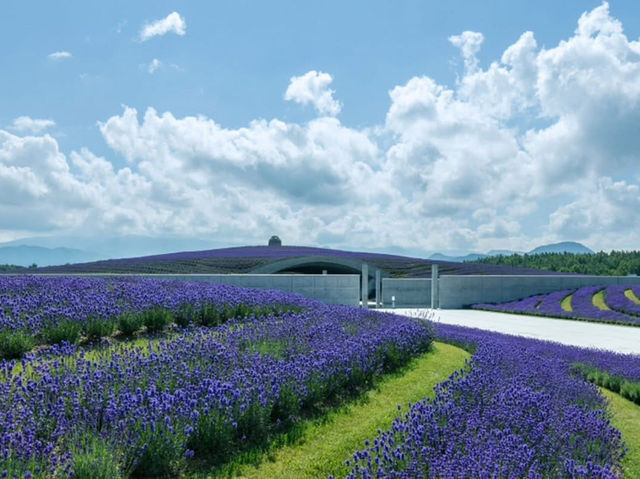 Buddha Hill in Hokkaido