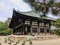 奈良 | 唐招提寺，走訪千年古剎