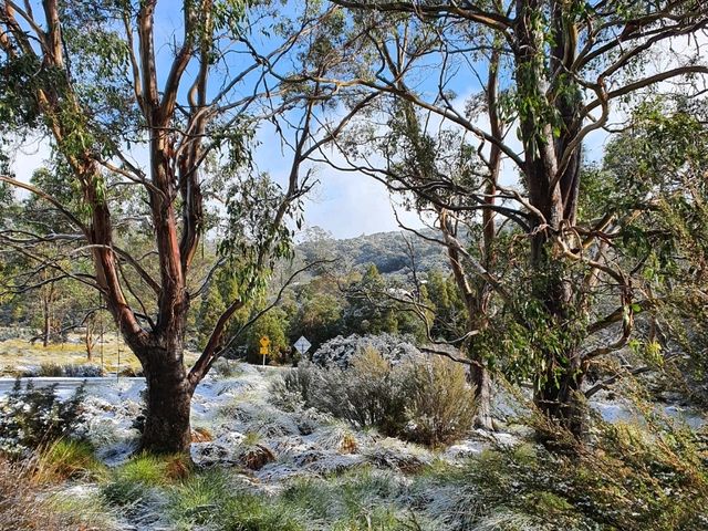 Tasmania never cease to amaze