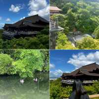 ชมวัดเก่าแก่ในเกียวโต