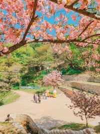 Flower Park at Munsu Temple