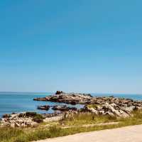 Osiria Coastal Walk, Busan: A Scenic Seaside Stroll with Emerging Attractions