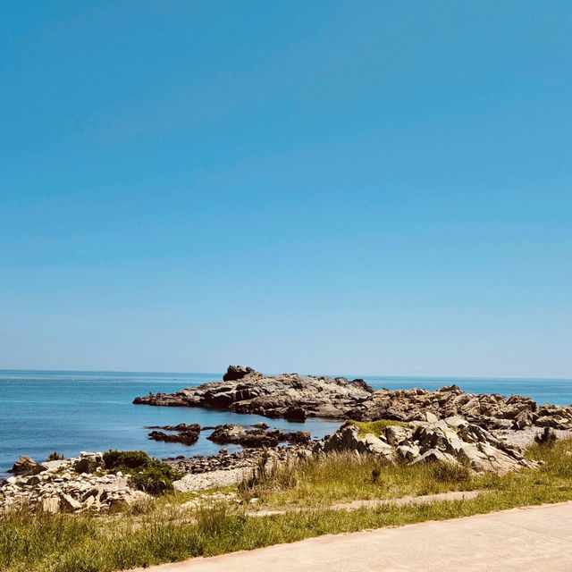 Osiria Coastal Walk, Busan: A Scenic Seaside Stroll with Emerging Attractions