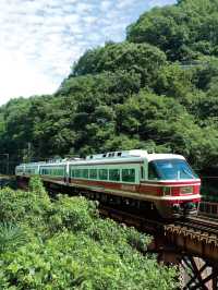 和歌山縣🇯🇵 不會後悔到過的必訪景點 😍