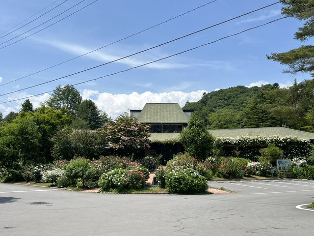 Karuizawa Lake Garden 輕井澤玫瑰花園