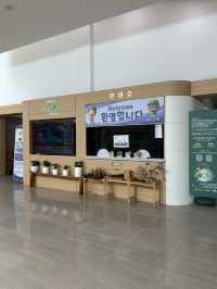 🌿 사계절 숲속 산책, 청주의 힐링 명소 – 미동산수목원