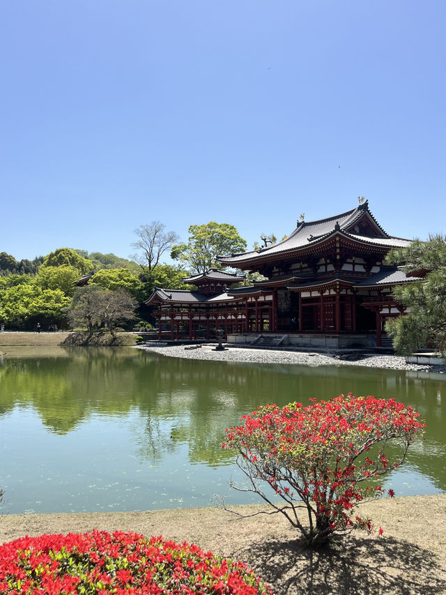 🏯🌸 Byōdō-in Temple – Heaven Reflected in Water