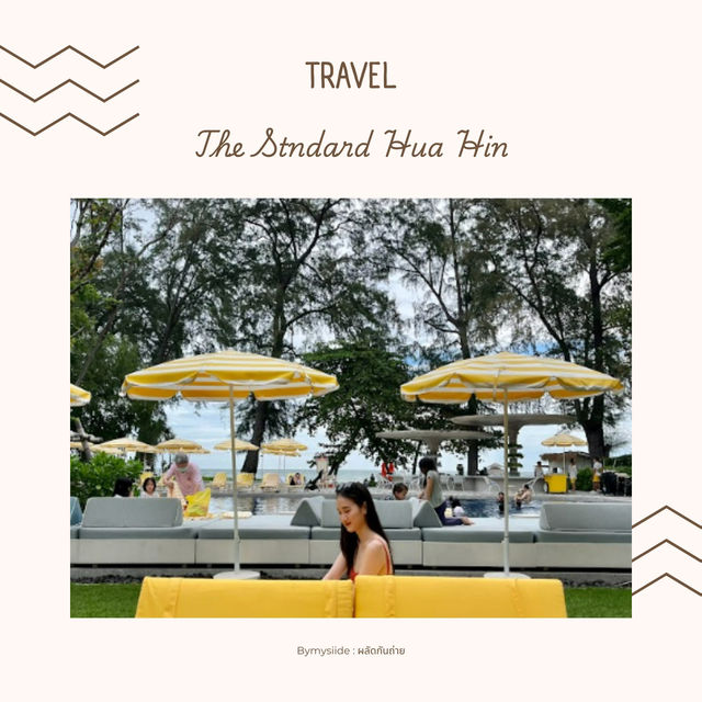 The Standard Hua Hin 🧘‍♀️🍸