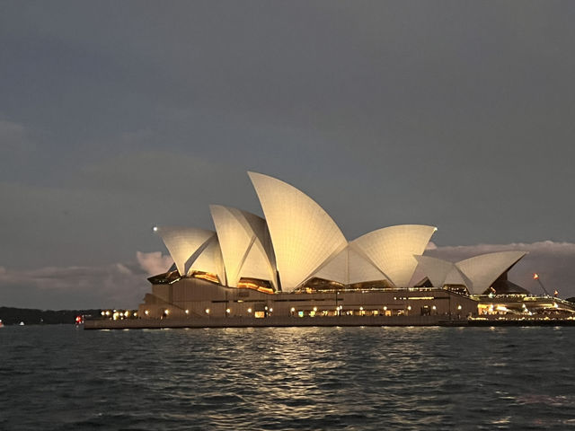 호주 시드니 페리 선셋 최적의 루프 Pyrmont Bay - Circular Quay