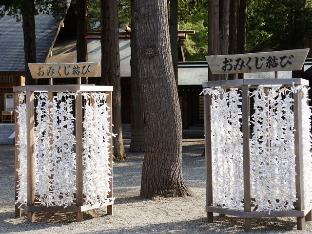 ⛩️ Serene Escape at Hokkaido Jingu
