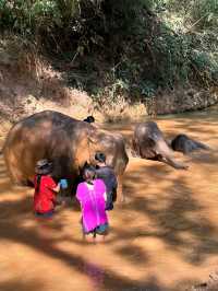 Elephant Hugs and Mud Baths