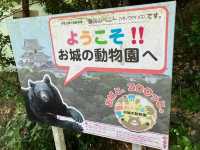 和歌山景點｜和歌山城腳下的親子動物園—和歌山城公園動物