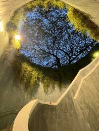 🌙 Hidden Gems After Dark: Rainbow Windows & a Secret Tree Tunnel in Singapore 🌈🌳