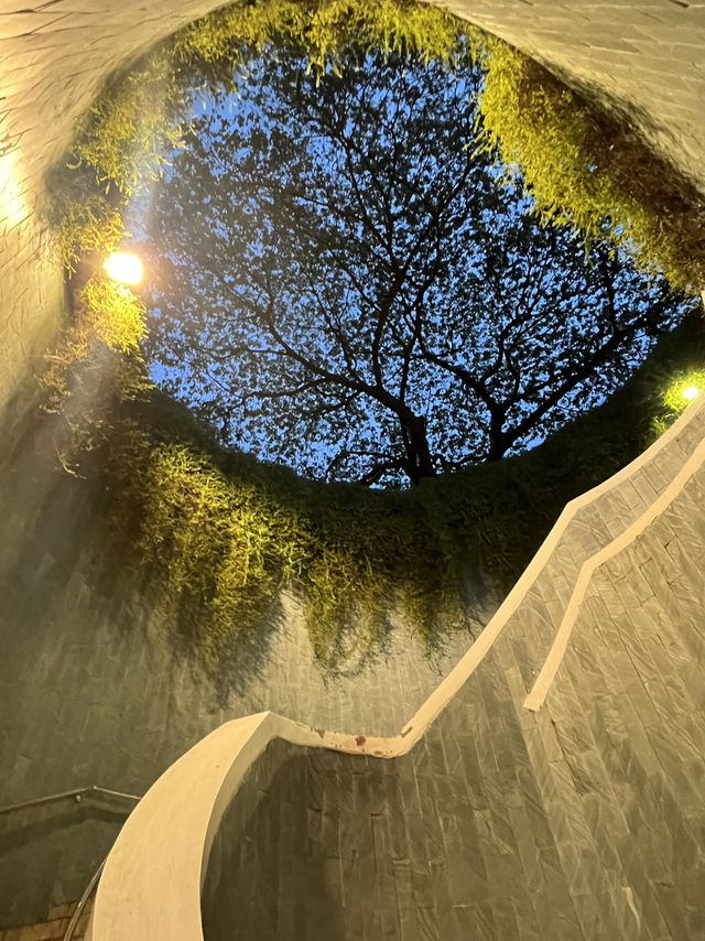 🌙 Hidden Gems After Dark: Rainbow Windows & a Secret Tree Tunnel in Singapore 🌈🌳