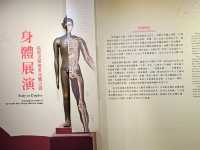 翻閱古籍，窺見身體奧秘──故宮〔身體展演〕醫書特展