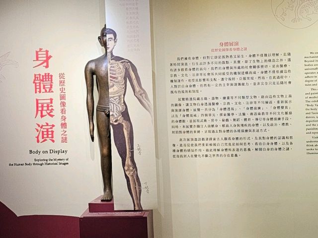 翻閱古籍，窺見身體奧秘──故宮〔身體展演〕醫書特展