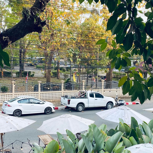 🪐🌿 ศิลป์โสภา Silsopa Hostel | หนองคาย