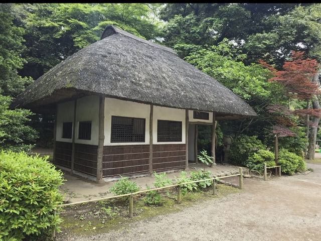 🍁東京・後楽園｜小石川後楽園｜都心のオアシスで、日本と中国の美が融合する庭園散歩🌿✨