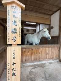 【香川県】金刀比羅宮の旅