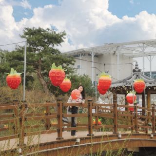 Recommended Nonsan Travel Itinerary with Friends