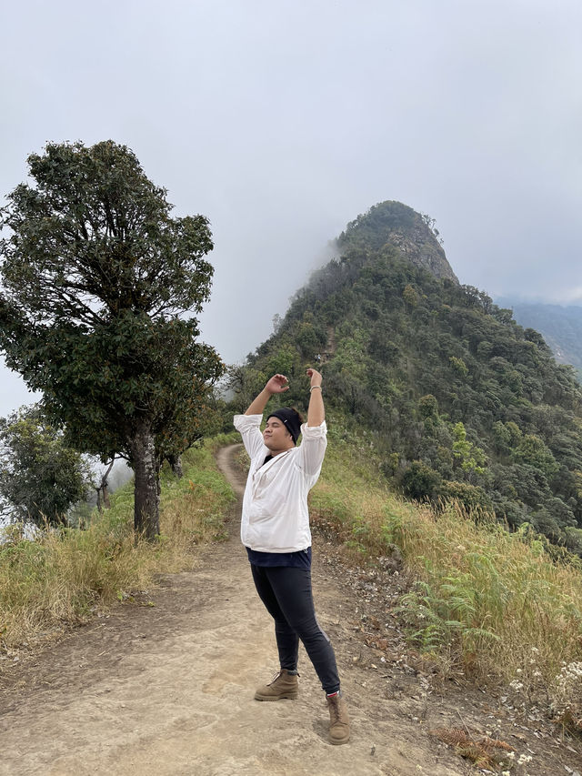 HIDDEN GEM: ผาสองฤดู เชียงใหม่