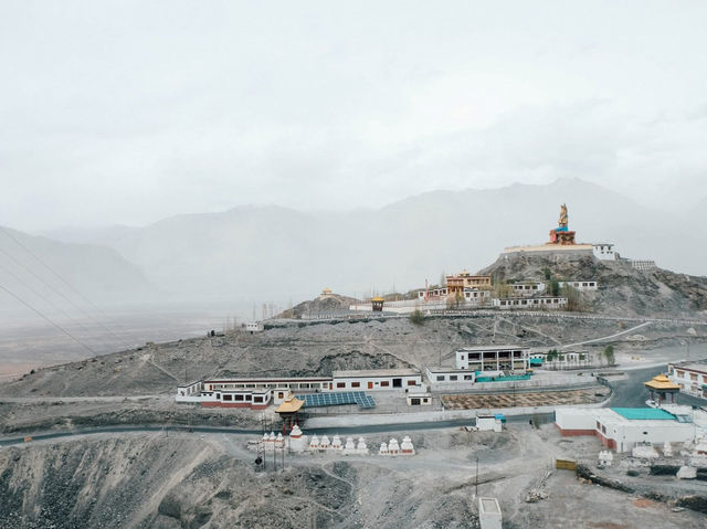 Along the way to PANGONG lake 🚌🌿❄️