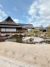 岡山後樂園🇯🇵！日本三大庭園之一！📸 靚爆！