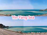 Yin-Yang Sea