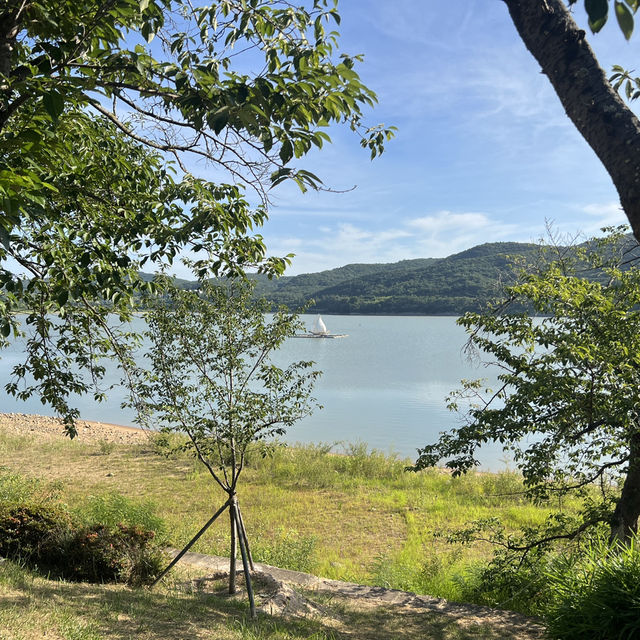 라한셀렉트 앞 산책코스💚 보문호 둘레길 야외데이트 추천