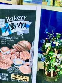【鎌倉　小町通り、御成通りで北欧と和の折衷】