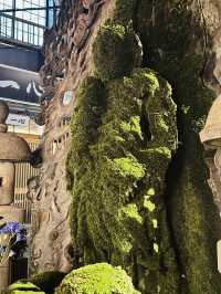 Hozen-ji Temple (法善寺) – Namba’s Hidden Oasis of Moss & Magic** 🍃✨ 
