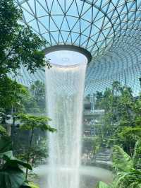 Singapore 🍞 ☕️ 