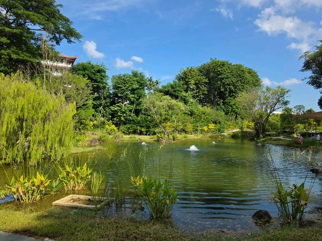 A Little Sanctuary by the Pond