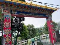【インド・ダージリン Dung Gon Samten Choling Monastery】山の中の静寂