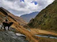 Getting Lost (in the Best Way) in Parshma