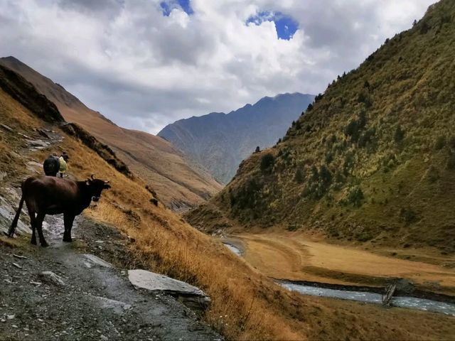 Getting Lost (in the Best Way) in Parshma